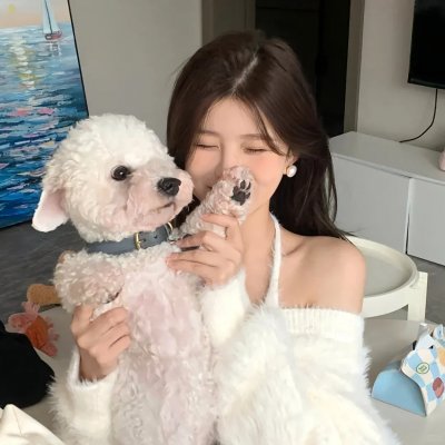 窗边的小豆豆